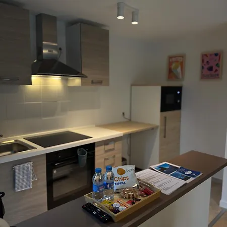 Skyway Airport Apartment Zaventem